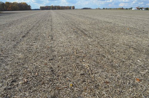 Property photo 36 - 75.3 Acres Offered in 2 Tracts